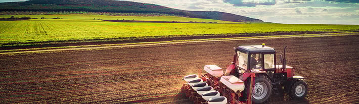 Planting_blog