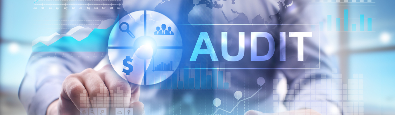 Help with your next audit begins here.
